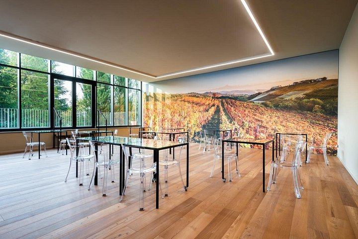 Cantina Moscone in La Morra: Winery Tour and "Il Dosman" Tasting of Three Wines (7/12)