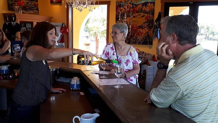 Kelowna or West Kelowna Afternoon Wine Tour by Mercedes Van, Up to 4 Hours (3/12)
