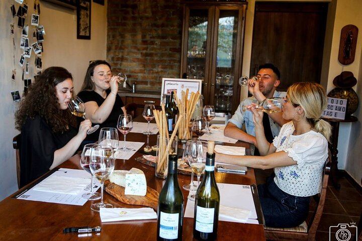 TOJO Family Winery in Santo Stefano Belbo: Pavese Hills Walk and Five-Wine Tasting (4/5)