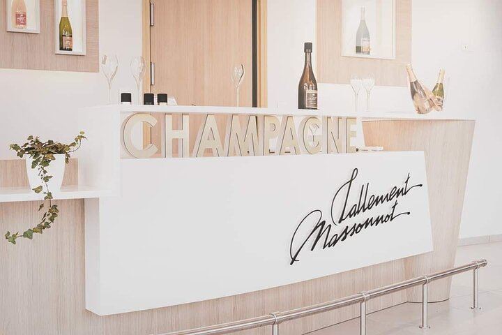 Premier Cru Champagne Vineyard Visit and Triple Tasting in Coulommes-la-Montagne (9/10)