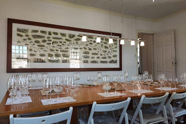 Pinhão Winery Visit at Quinta da Foz: Cellar, Vinification and Five-Wine Tasting