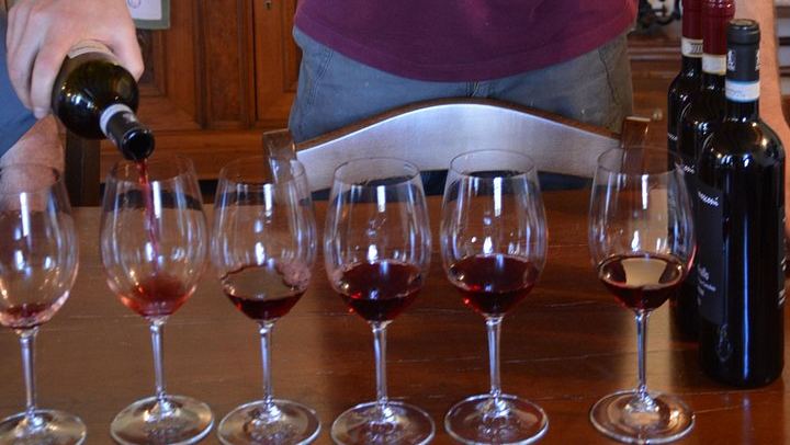 Pagus Wine Tours Half-Day Soave and Amarone Tour from Verona: Walled Town and Two Wineries (3/7)