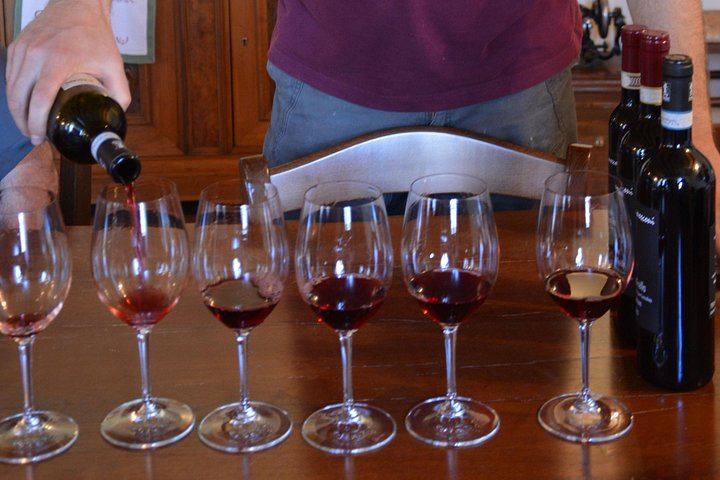 Pagus Wine Tours Half-Day Soave and Amarone Tour from Verona: Walled Town and Two Wineries (3/7)