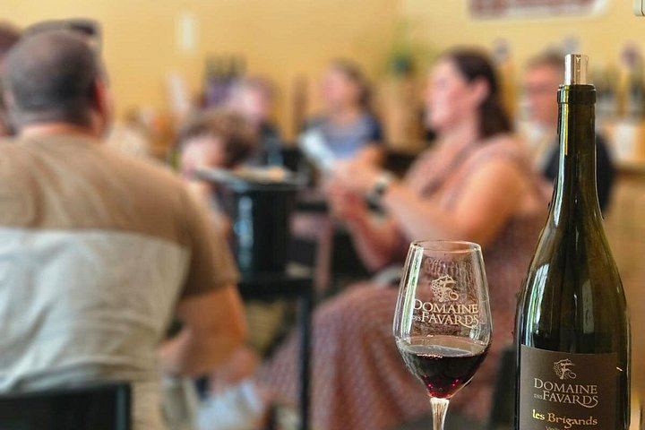 Vintage Solex Ride Through the Vineyards of Domaine des Favards, with Organic Wine Tasting (5/10)