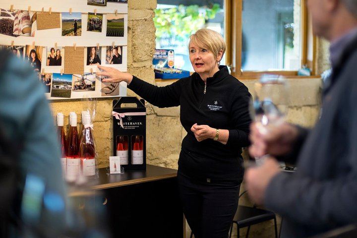 Half-Day Wine Tour from Picton: Three or Four Wineries, Pickup Included (4/5)