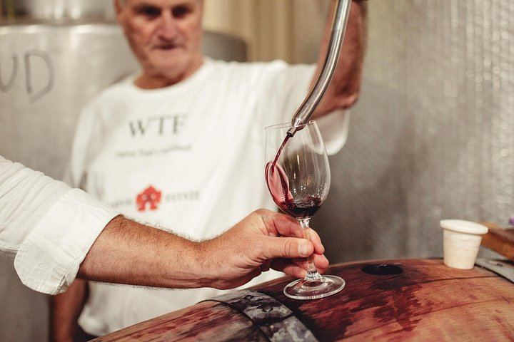 Margaret River Small-Group Wine Tour with Tannin Road, Cellar Doors and Brewery Lunch (11/12)