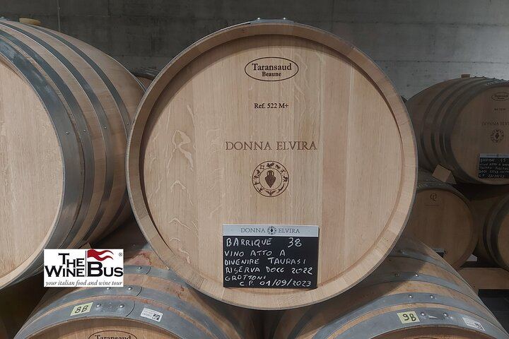 Private Full-Day Irpinia Wine Tour from Sorrento with a Sommelier and Two Wineries (5/12)