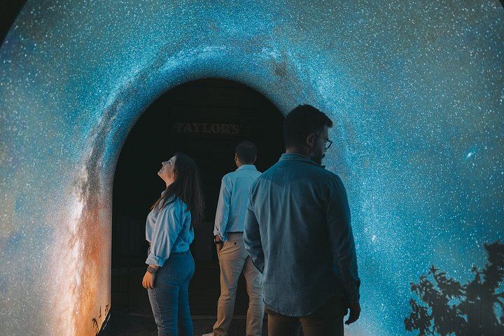 Taylor's Estate Masterclass in Vila Nova de Gaia: Single-Quinta Vintage Port Tasting (6/8)