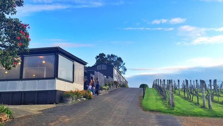 Waiheke Island Wine Tour by Enjoi NZ: 3 to 4 Award-Winning Vineyards, Lunch Stop (2/12)