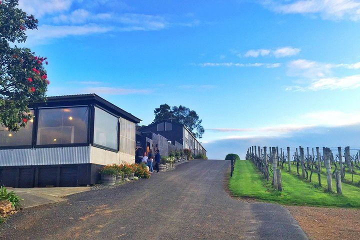 Waiheke Island Wine Tour by Enjoi NZ: 3 to 4 Award-Winning Vineyards, Lunch Stop (2/12)