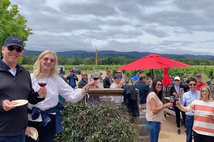 Healdsburg Wine Country Bike Tour with Ace It Bike Tours: Pick Your Bike (3/6)