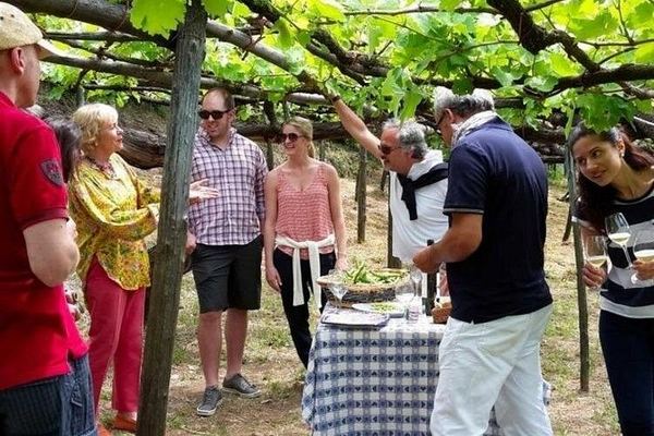 Tenuta San Francesco, Tramonti: Pre-Phylloxera Vines, 1600s Cellar and Three DOC Wines