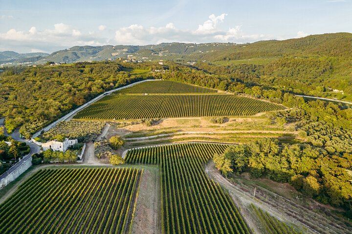 Bertani Amarone Villa Tour and Seated Tasting at Tenuta Santa Maria, Valpolicella (1/9)