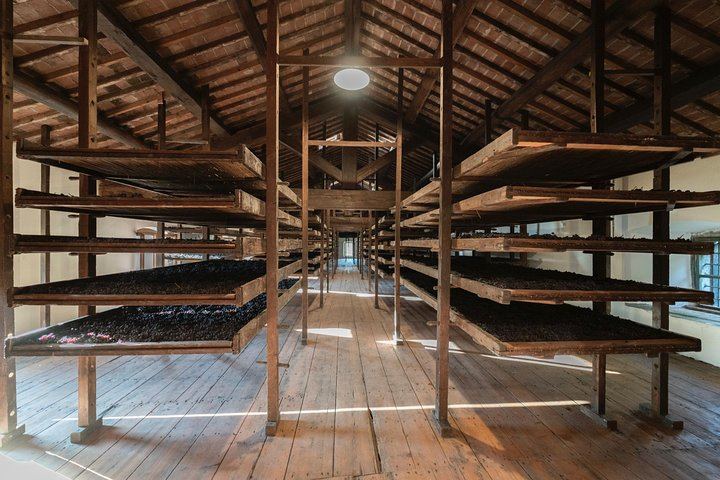 Bertani Amarone Villa Tour and Seated Tasting at Tenuta Santa Maria, Valpolicella (3/9)