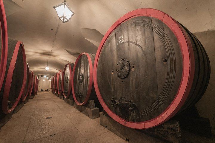 Bertani Amarone Villa Tour and Seated Tasting at Tenuta Santa Maria, Valpolicella (5/9)