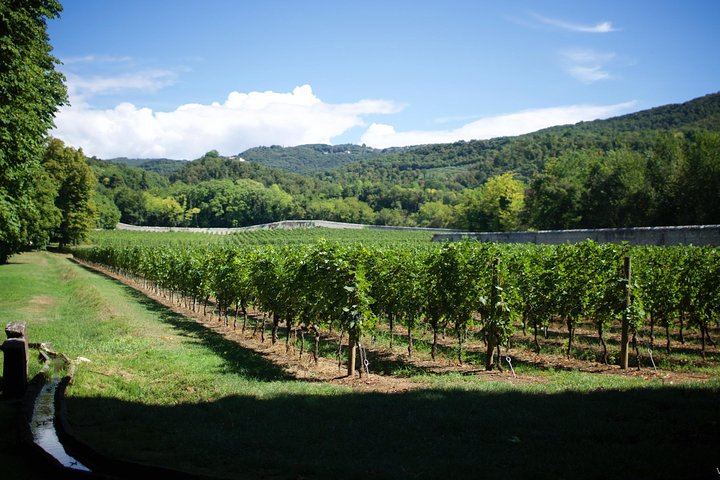 Bertani Amarone Villa Tour and Seated Tasting at Tenuta Santa Maria, Valpolicella (6/9)