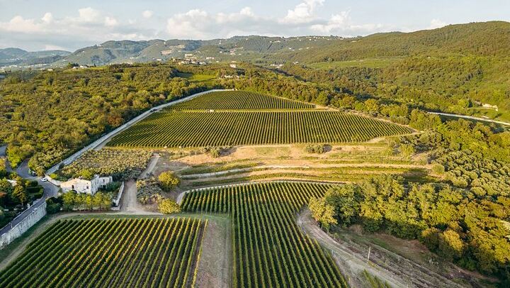 Bertani Amarone Villa Tour and Seated Tasting at Tenuta Santa Maria, Valpolicella (1/9)