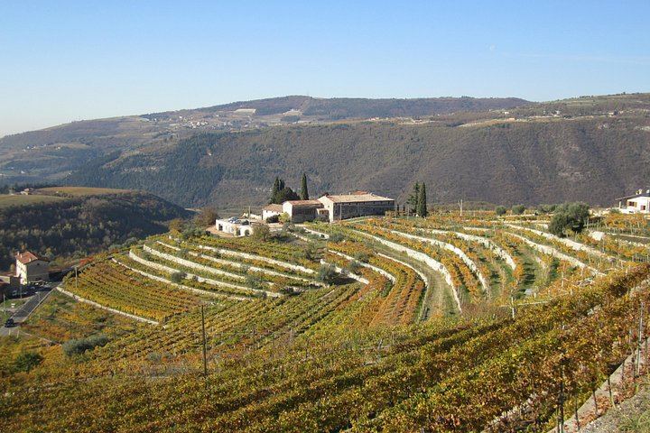 Valpolicella E-Bike Tour with Winemaker Nicola and Amarone Tasting, Santa Maria Valverde (9/12)