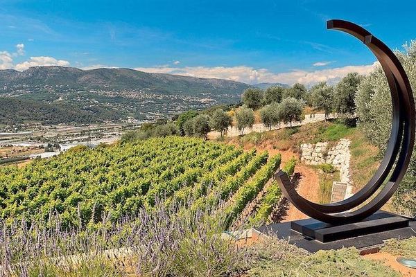 Bellet Hill Organic Wine Half Day from Nice: Two Vineyards and Provence Bites