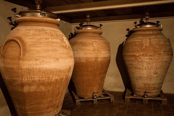 Diadema Super Tuscan Tasting in Impruneta: Winery Tour, Olive Mill and Olive Oil (9/12)