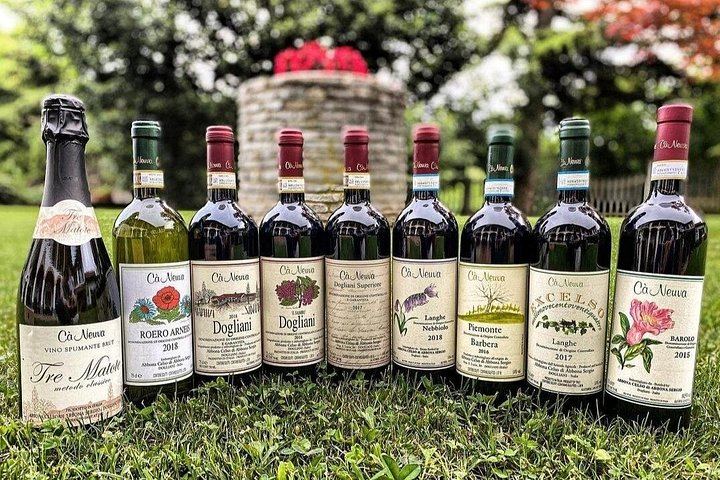 Ca'Neuva Family Farm Winery in Dogliani: Seven-Wine Tasting and Cellar Visit (7/12)