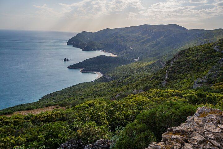 Arrábida Day from Lisbon for Max 8: Two Family Wineries, Tile Workshop, Sesimbra (8/12)
