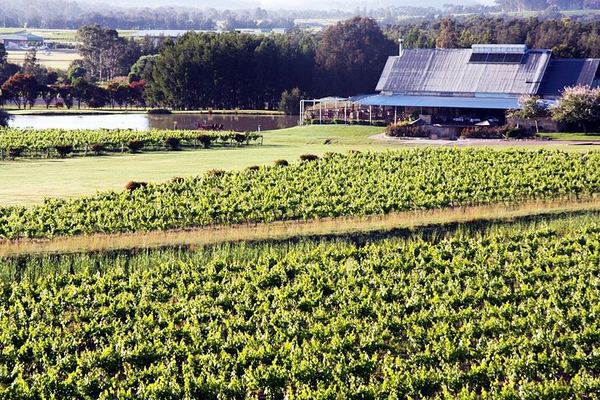 Private Small-Group Hunter Valley Wine Tour from Sydney: Three Boutique Wineries and Lunch