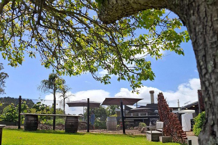 Waiheke Best Cellar Tour: Family-Run Small Group, 11 Guests Max, 3 Vineyards (11/12)