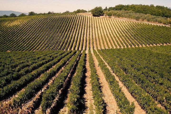 Private Day from Florence: Brunello in Montalcino and Vino Nobile in Montepulciano (9/12)