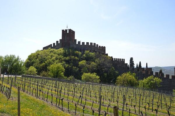 Pagus Wine Tours Half-Day Soave and Amarone Tour from Verona: Walled Town and Two Wineries