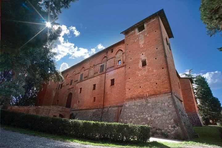 Brunello Wine Tasting with a Sommelier at Castello Tricerchi, Montalcino, 1.5 Hours (1/5)