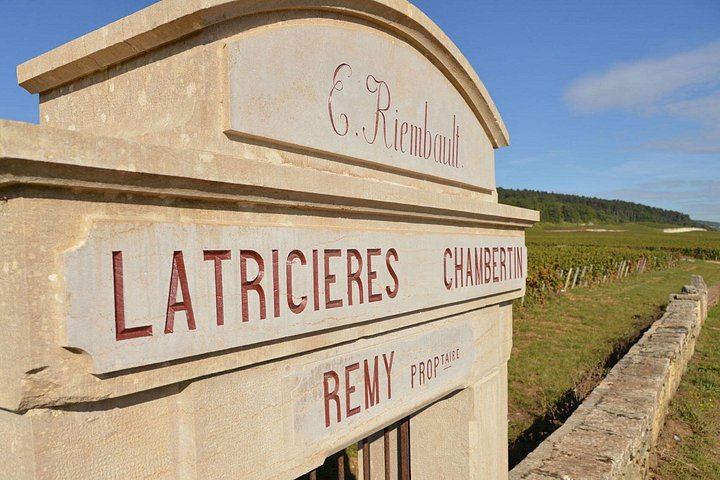 Full-Day Private Burgundy Tour: 3 Tastings, Estate Lunch, 6 Premiers & Grands Crus (12/12)
