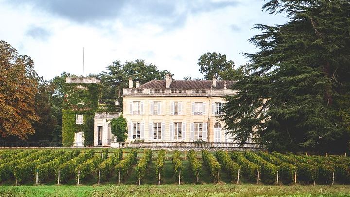 Château du Taillan Visit with 16th-Century Cellar and Wine Tasting near Bordeaux (1/3)