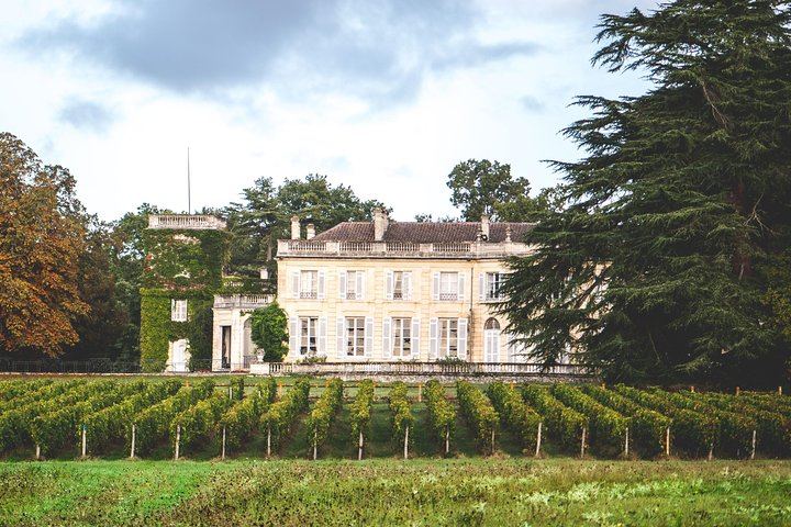 Château du Taillan Visit with 16th-Century Cellar and Wine Tasting near Bordeaux (1/3)