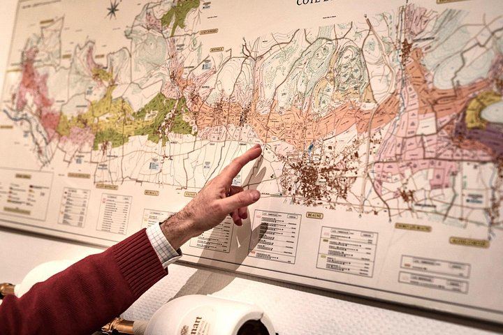 Chardonnay Masterclass in Dijon: Four-Wine Tasting Workshop from Village to Grand Cru (4/7)