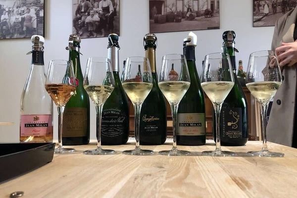 Private Half-Day Champagne Tour from Épernay: Hautvillers, Côte des Blancs, 2 Growers