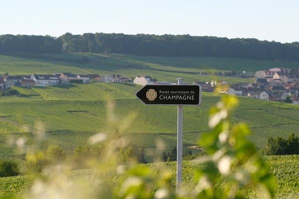 Private 3h30 Champagne Tour from Épernay: Aÿ-Champagne, Hautvillers, One Family Grower
