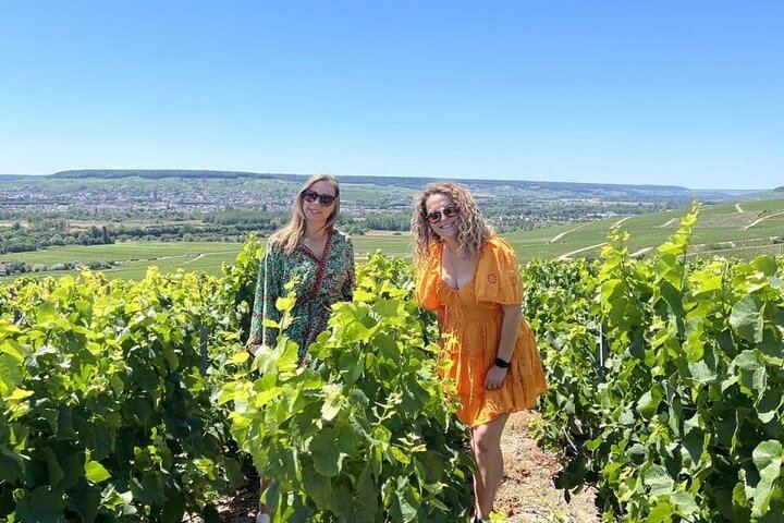 Private Half-Day Champagne Tour from Épernay: Hautvillers, Côte des Blancs, 2 Growers (9/12)