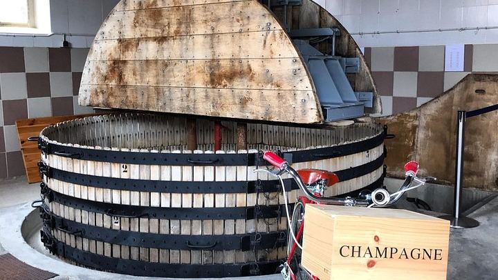Private Half-Day Champagne Tour from Épernay: Hautvillers, Côte des Blancs, 2 Growers (1/12)