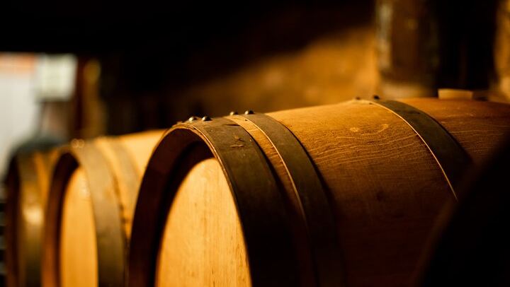 Sella delle Spine Taurasi: Vineyard Walk, Cellar and Three DOCG Wines with Castle Visit (2/7)