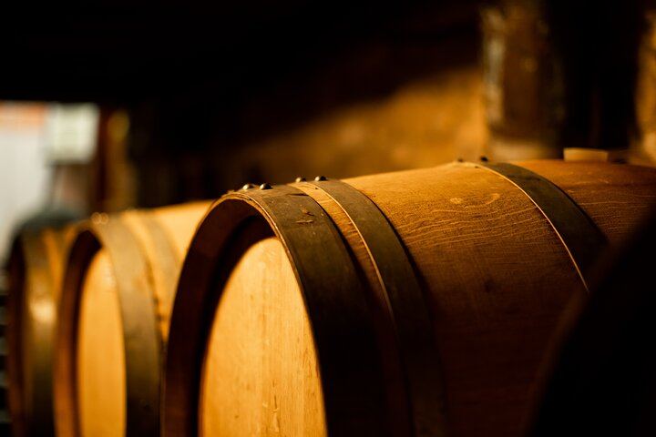 Sella delle Spine Taurasi: Vineyard Walk, Cellar and Three DOCG Wines with Castle Visit (2/7)