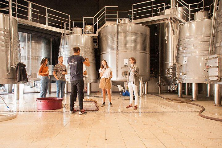 Private Priorat Wine Expedition from Barcelona into Spain's Top-Ranked DOQ Appellation (7/11)