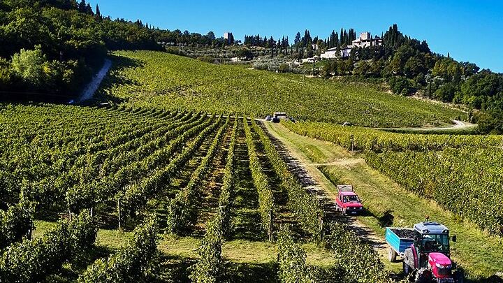 Private Slow-Living Day in Chianti: Montefioralle, Castello di Verrazzano and Estate Lunch (2/12)