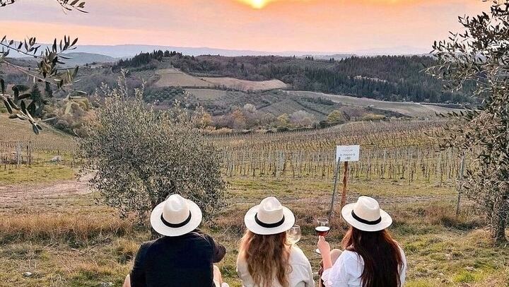 Private Slow-Living Day in Chianti: Montefioralle, Castello di Verrazzano and Estate Lunch (3/12)