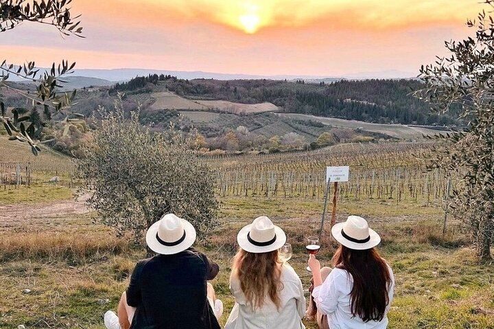 Private Slow-Living Day in Chianti: Montefioralle, Castello di Verrazzano and Estate Lunch (3/12)
