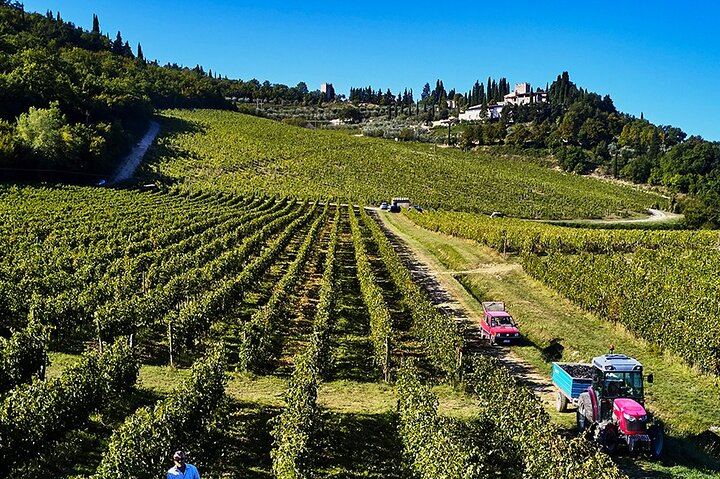 Private Slow-Living Day in Chianti: Montefioralle, Castello di Verrazzano and Estate Lunch (2/12)