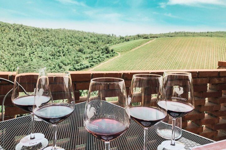 Private Slow-Living Day in Chianti: Montefioralle, Castello di Verrazzano and Estate Lunch (9/12)
