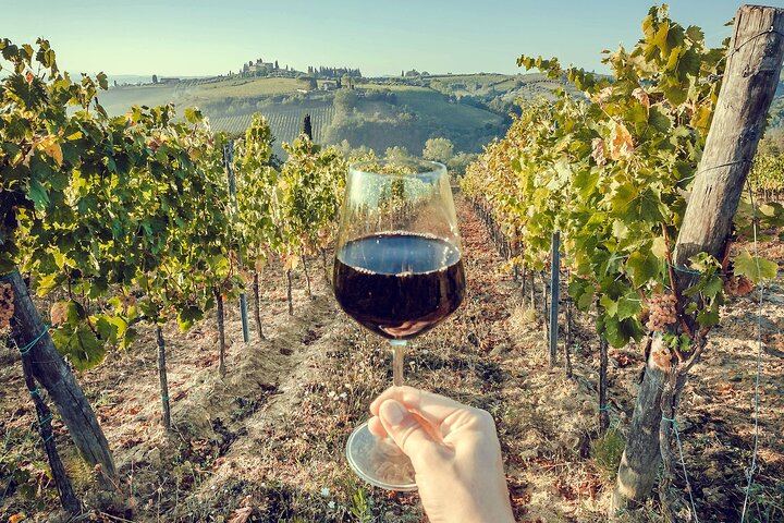 Private Slow-Living Day in Chianti: Montefioralle, Castello di Verrazzano and Estate Lunch (11/12)
