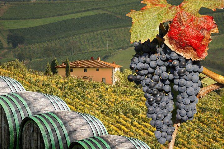 Private Slow-Living Day in Chianti: Montefioralle, Castello di Verrazzano and Estate Lunch (5/12)