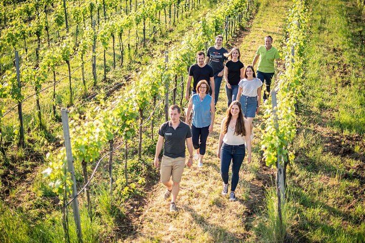 Private Slow-Living Day in Chianti: Montefioralle, Castello di Verrazzano and Estate Lunch (8/12)